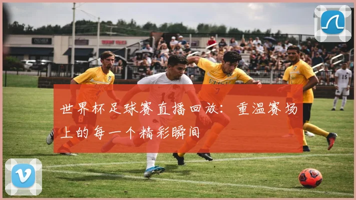 世界杯足球赛直播回放：重温赛场上的每一个精彩瞬间