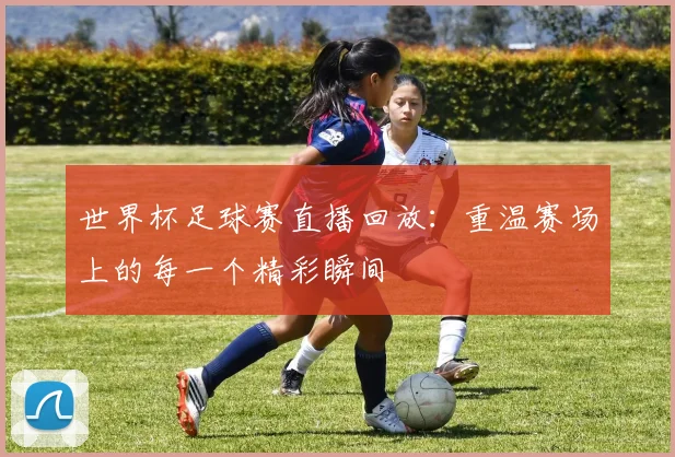世界杯足球赛直播回放：重温赛场上的每一个精彩瞬间